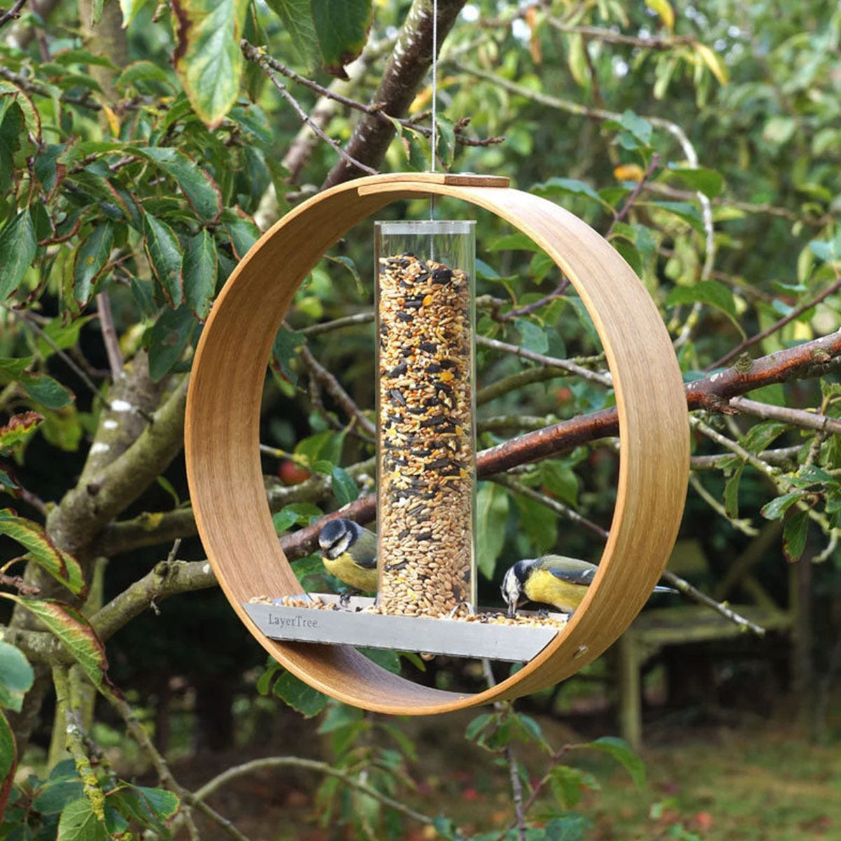 Enhance Your Bird Watching Experience with Our Simple Hanging Bird Feeder